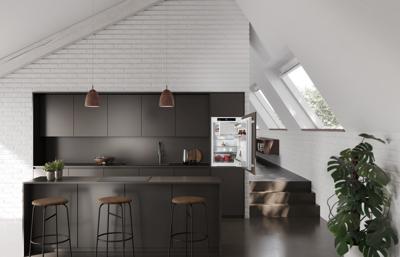 Liebherr IRSf 3901 Pure combi-koelkast Ingebouwd 117 l F Wit