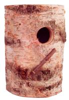 Broedblok berken voor valkparkieten - thumbnail