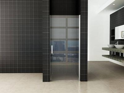 Cerra eco nisdeur 800 x 1950 x 6 mm helder glas/chroom Cerra eco nisdeur 800 x 1950 x 6 mm helder glas/chroom