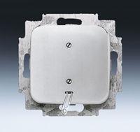 Busch-Jaeger trekschakelaar met inzetplaat creme - thumbnail