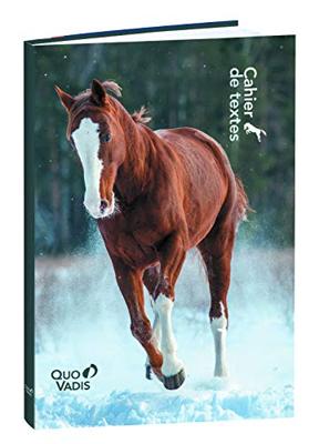 L&apos;Oblique hangmappen voor laden AZO tussenafstand 380 mm, bodem 30 mm, oranje