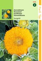 Zaden Helianthus Zonnebloem Sungold dubbelbloemig laag Hortitops - Hortitops - thumbnail