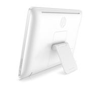 De zwaartekracht van vogels - Tracy Guzeman - ebook - thumbnail