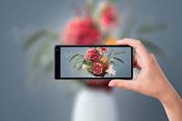 Sony Xperia 10 Smartphone (15,24 cm (6 inch) 21:9 Full HD+ display, 64 GB geheugen, Dual SIM, splitscherm, Android 9) roze - thumbnail