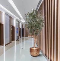 Baq Opus Raw Couple Goud 65x53cm - thumbnail