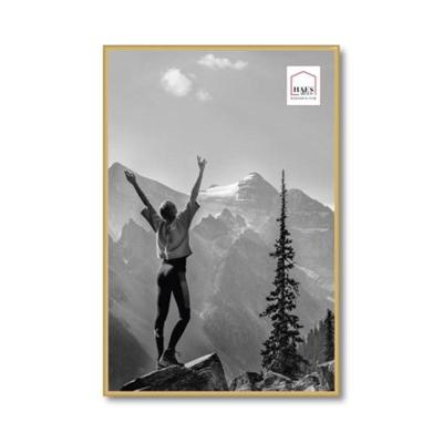 Haes Deco Kunststof Fotolijst EF9G Easy Frame Goud 40x60 cm