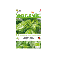 Zaden Organic Basilicum - Italiano Classico (BIO) Buzzy - Buzzy - thumbnail