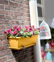 Elho Barcelona trough saucer 70 honey yellow - thumbnail