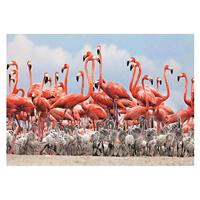 DinoToys Dino puzzel - flamingos - 500 stukjes - thumbnail