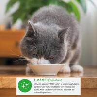 INABA DASHI DELIGHTS CHICKEN WITH TUNA & SALMON RECIPE 70 GR - thumbnail