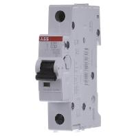 ABB 2CDS251001R0324 ABB Stotz S&J Zekeringautomaat 1-polig 32 A 230 V - thumbnail