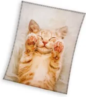 Fleece deken dromerige kat 130 x 170 cm - thumbnail