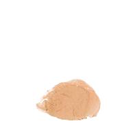Annemarie Börlind Compact Makeup Crème Ivory 10gr - thumbnail