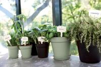 Elho Green Basics kweekpot 17cm steengroen - thumbnail