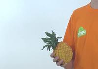 Nino Percussion NINO595 ananas-shaker - thumbnail