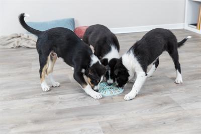 Trixie junior likplaat mintgroen