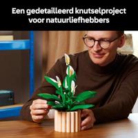 LEGO BOTANICALS 11504 Vredeslelie - thumbnail