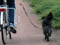 Kleinmetall Dog runner hondenhouder voor fietsen dog runner dog device f.bike mount. - thumbnail