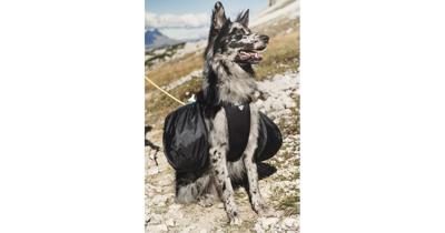 Hurtta HU-932359 hondenrugtas S Zwart