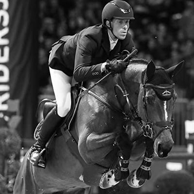 Veredus Carbon Vento peesbeschermers bruin maat:m Veredus Carbon Vento peesbeschermers bruin maat:m
