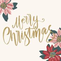 Duni 3-laags tissue servet merry xmas berries 33x33cm wit 20 stuks - thumbnail