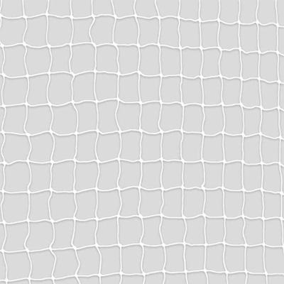 Veiilgheidsnet Trixie Transparant 2 x 1,5 m