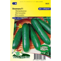 Komkommer zaden (mini) Broumana F1 - thumbnail