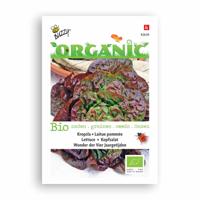 Biologische Kropsla Wonder van Vier Jaargetijden - thumbnail