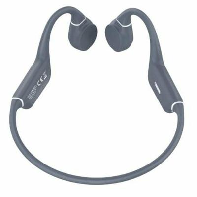 Oordopjes LEOTEC LEBONE03G Grijs