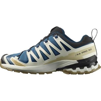 Salomon XA PRO 3D V9 GORE-TEX Lage Wandelschoen Heren Dark Blue/Icicle/Aloe 9