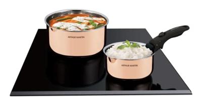 2 steelpannen 16-20 cm + 1 handgreep - ARTHUR MARTIN - AM720GT - 3 lagen triple action - Alle warmtebronnen inclusief inductie 2 steelpannen 16-20 cm + 1 handgreep - ARTHUR MARTIN - AM720GT - 3 lagen triple action - Alle warmtebronnen inclusief inductie