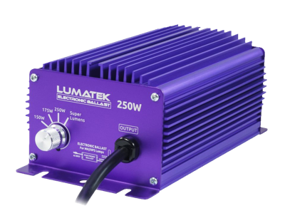 Lumatek Lumatek EVSA - Standaard Dimbaar ~ 240V