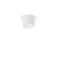Wever & Ducre - Ray 1.0 LED Spot Buitenlamp - thumbnail