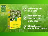 Zaden BHS Trèfle Blanc 500 g - thumbnail
