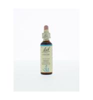 Bach Flower Remedies Cichorei 08 - thumbnail