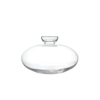 BLOMUS - Avo - Vaas S voor Avocadopit helder