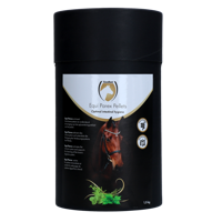 Excellent Horse Parex 1,5 kg - thumbnail