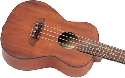 Ortega Bonfire Series RU4MM concert ukelele