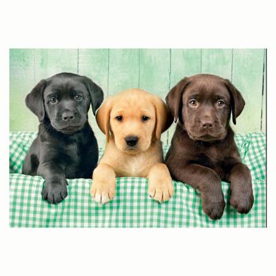 Clementoni Puzzel 1000 Stuks Labrador Pubs 3 Kleuren Compact
