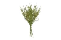 Kunstbundel Liguster groen Countryfield - Countryfield - thumbnail