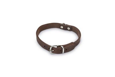 Lederen honden halsband bruin - 57 cm x 20 mm Lederen honden halsband bruin - 57 cm x 20 mm