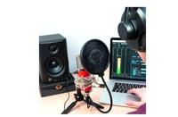 Monkey Banana Hapa USB condensator microfoon (rood) - thumbnail