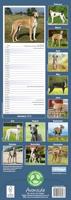 Greyhound Kalender 2026 Slimline - thumbnail