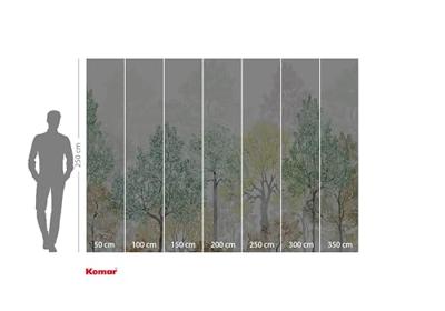 Komar Flair Fotobehang Bright Rainbow - FLX7-027