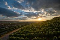 NiSi 9mm F/2.8 ASPH. Fuji X - thumbnail