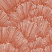 Emil & Hugo Moana 301129 - thumbnail