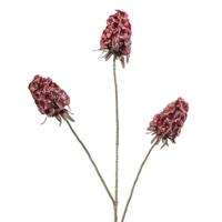 Scabiosa fuchsia 87 cm kunstbloem Buitengewoon de Boet - Buitengewoon de boet - thumbnail