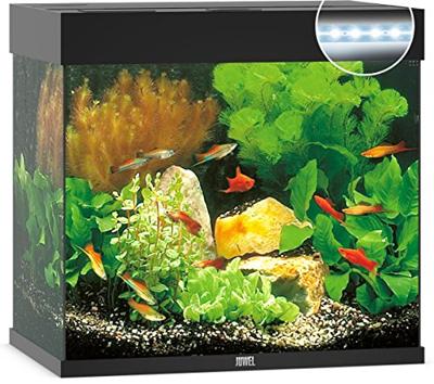 Juwel aquarium Lido 120 LED met filter zwart Juwel Gebr. de Boon - Gebr de boon Juwel aquarium Lido 120 LED met filter zwart Juwel Gebr. de Boon - Gebr de boon