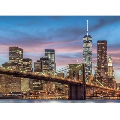 DinoToys Dino puzzel - glow in the dark manhattan new york - 1000 stukjes