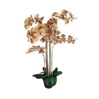 Phalaenopsis Orchidee in pot 110 cm Tiger Yellow kunstplant Buitengewoon de Boet - Buitengewoon de boet - thumbnail